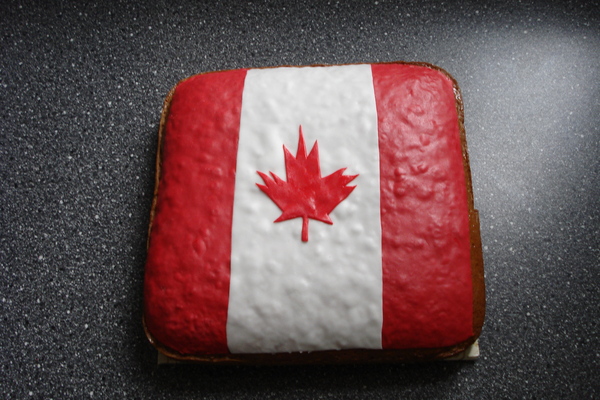 foto DSC02645.JPG.JPG